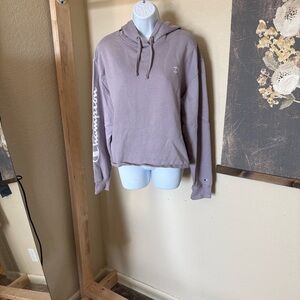 Champion Purple Hoodie